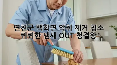 🏡 연천군 백학면 악취 제거 청소, 퀴퀴한 냄새 OUT! #청결왕