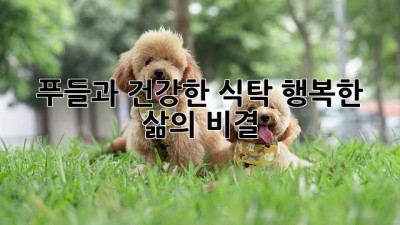 푸들과 건강한 식탁: 행복한 삶의 비결