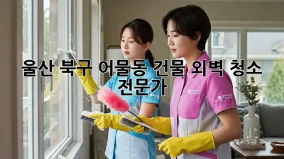 울산 북구 어물동 건물 외벽 청소 전문가