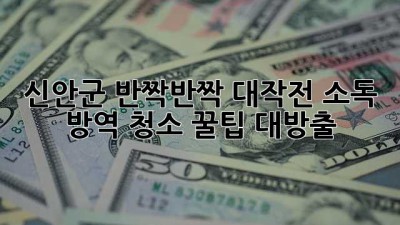 ✨ 신안군 반짝반짝 대작전! 소독 & 방역 청소 꿀팁 대방출 🏡