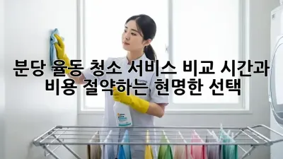 분당 율동 청소 서비스 비교: 시간과 비용 절약하는 현명한 선택